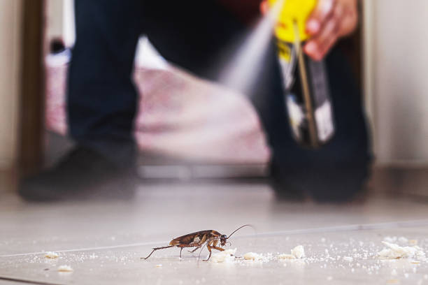 Best Pest Prevention Services  in Edgar, WI