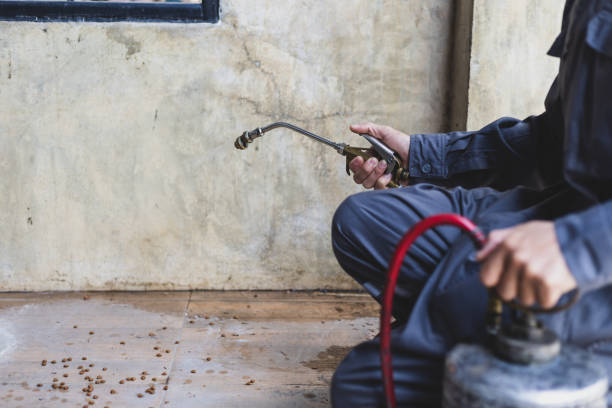 Best Pest Removal Services  in Edgar, WI